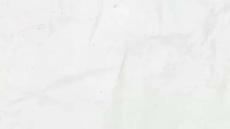 한국 시술 효과, 얼마나 유지될까? 층별 기준